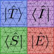 FEMTISE logo
